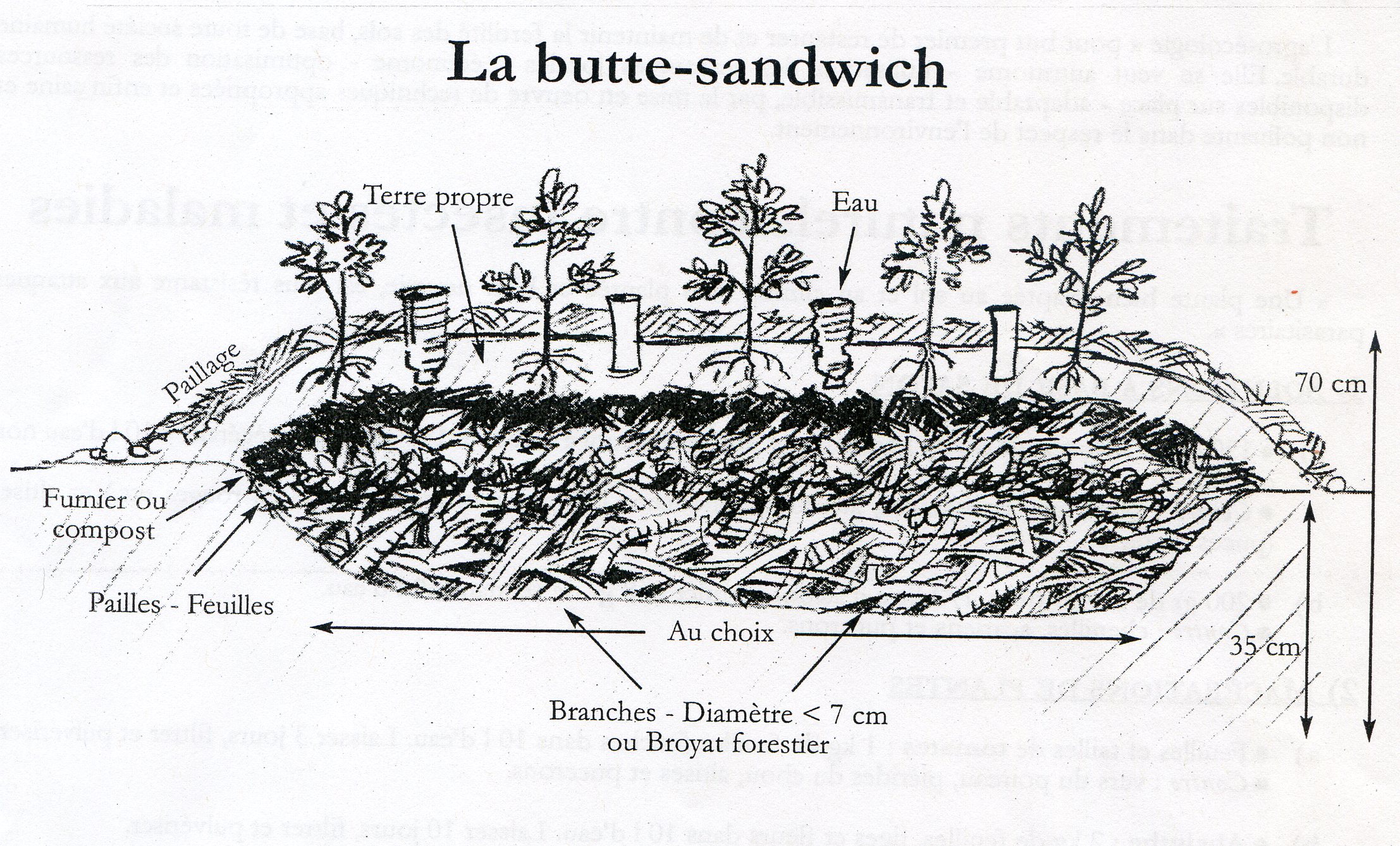 butte-sandwich007