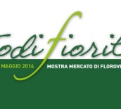 Todi Fiorita